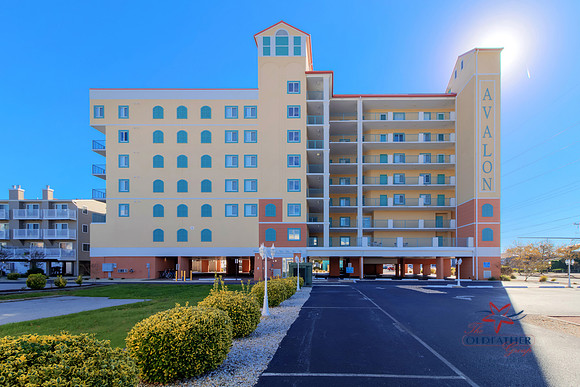 AVALON-506-PRINT-007