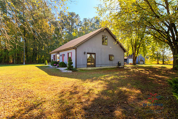 LYNCH-PRINT-020