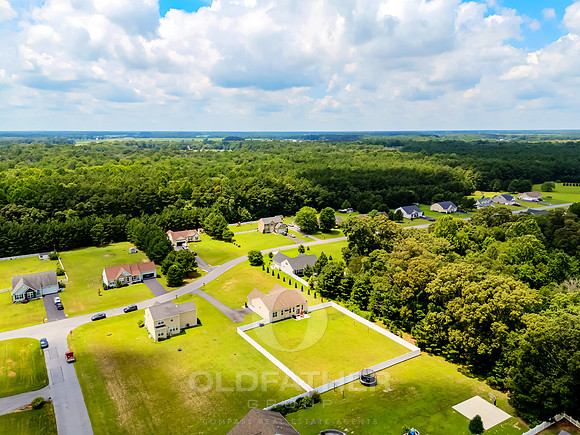 COUNTRY-MEADOW-25951-PRINT-007