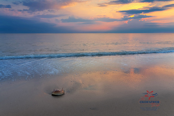 BROADKILLBEACH-PRINT-008