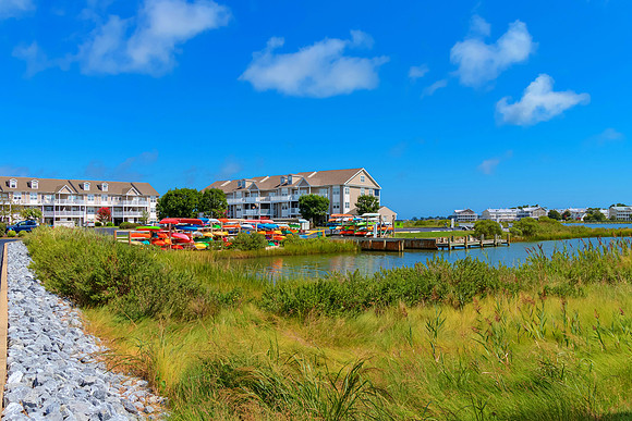 BIGMARSH-PRINT-006