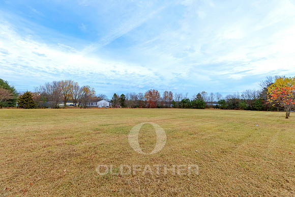 WEBB-FARM-11169-PRINT-031