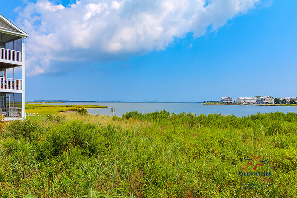 DRIFTWOOD-30228-PRINT-004