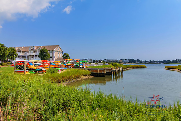 DRIFTWOOD-30228-PRINT-014