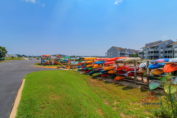DRIFTWOOD-30228-PRINT-017