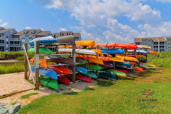 DRIFTWOOD-30228-PRINT-018