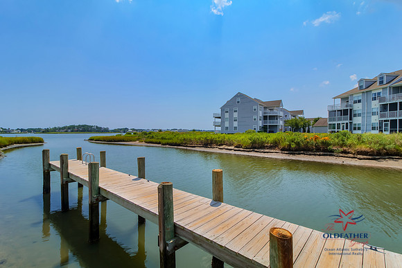 DRIFTWOOD-30228-PRINT-019