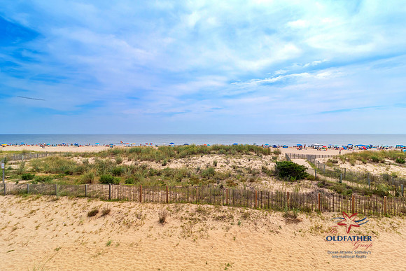 WIGHT12711-PRINT-038