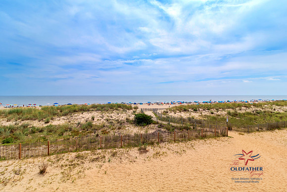 WIGHT12711-PRINT-039