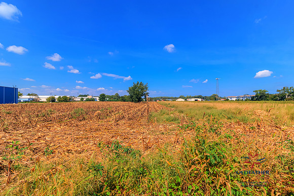 LEWES-GEORGETOWN-32315-PRINT-008