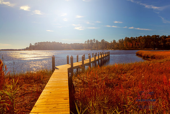 HERRING-REACH-23704-PRINT-070