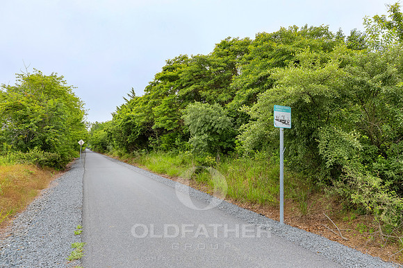 GRAPE-VINE-33086-PRINT-026