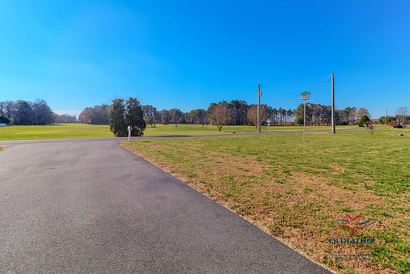 SUSSEX-PINES-22629-PRINT-017