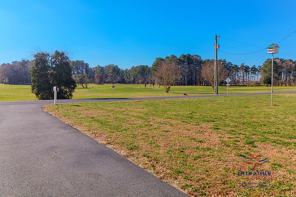 SUSSEX-PINES-22629-PRINT-018
