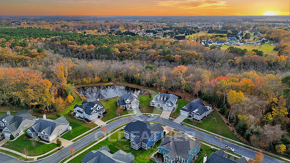 054-14421 allee lane ext-10