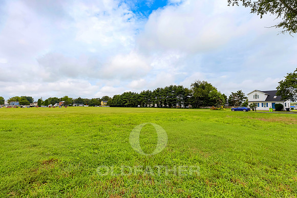 HOLLAND-310-PRINT-035