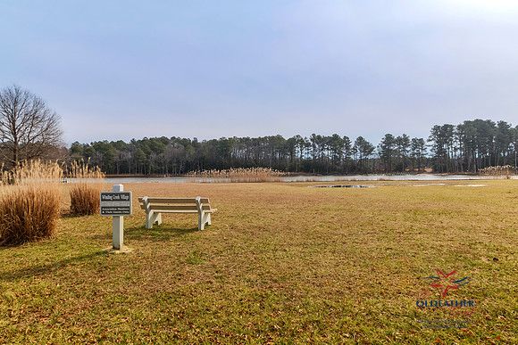 WOODSIDE-448-PRINT-076