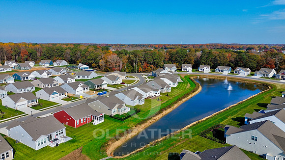 01-25068 treeview lane drone-4
