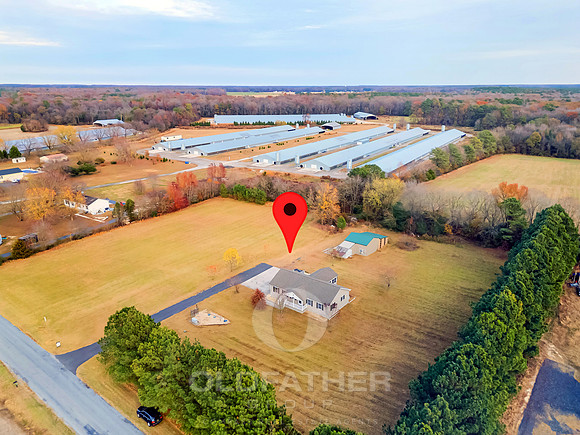 WEBB-FARM-11169-PRINT-010B