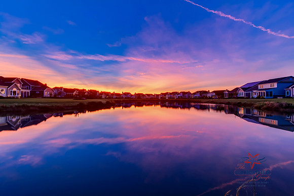 FIREFLY-27082-TL-PRINT-013