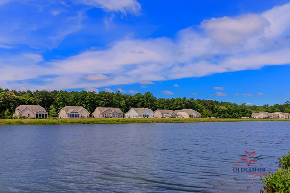 SEAGRASS-34992-PRINT-016