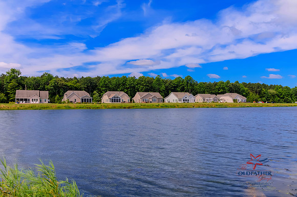 SEAGRASS-34992-PRINT-017