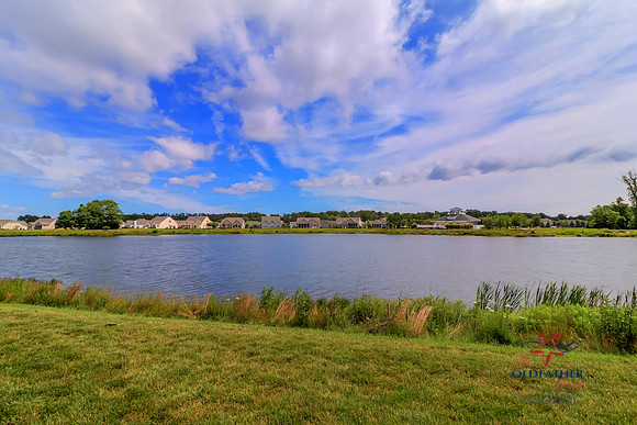 SEAGRASS-34992-PRINT-018