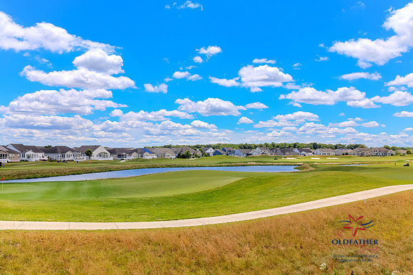 BRUNSWICK-20844-PRINT-023