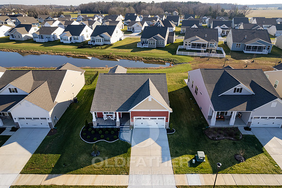 TREEVIEW-25068-PRINT-003