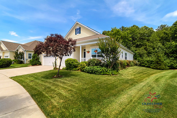 MAYESVILLE29237-PRINT-006