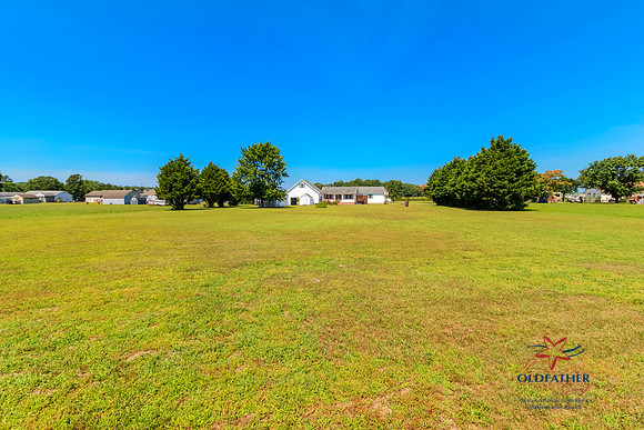 WOODBRANCH-PRINT-007
