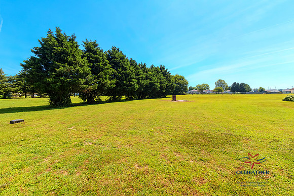 WOODBRANCH-PRINT-008