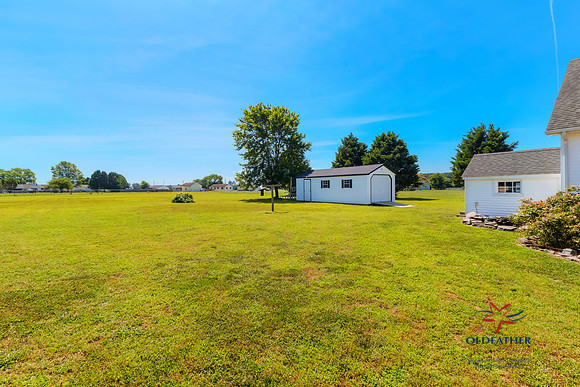 WOODBRANCH-PRINT-009