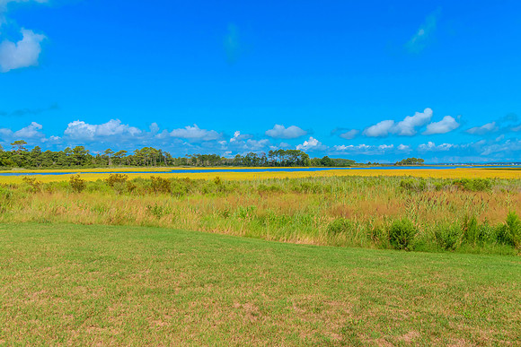 BIGMARSH-PRINT-017
