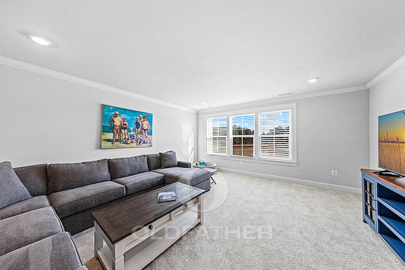 17-216 RED CEDAR DR-21