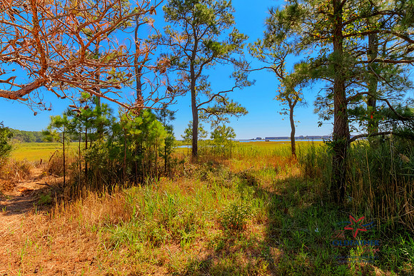 DIRICKSON-PRINT-006