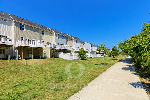 BRUNSWICK-20936-PRINT-004