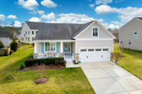 GREENSPRING 16475