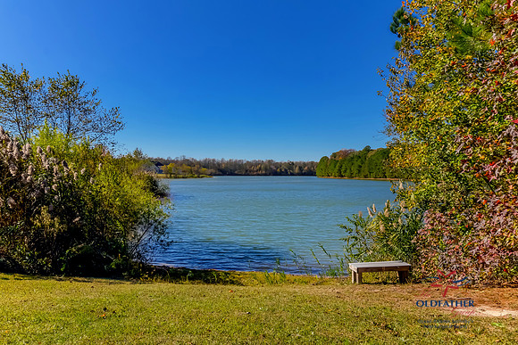 LAKESHORE-22510-PRINT-030
