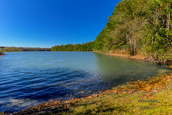 LAKESHORE-22510-PRINT-033