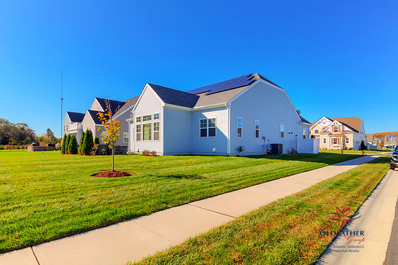 SEAOTTER-33882-PRINT-003
