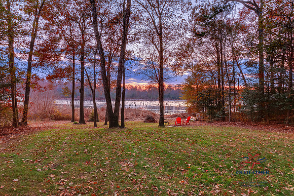 SPRINGWOOD-TL-PRINT-005