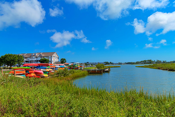 BIGMARSH-PRINT-007
