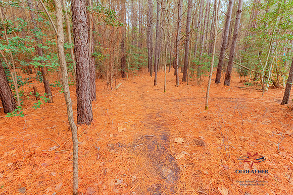 MILLPOND-24755-PRINT-011