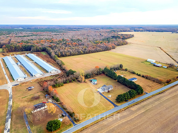WEBB-FARM-11169-PRINT-006