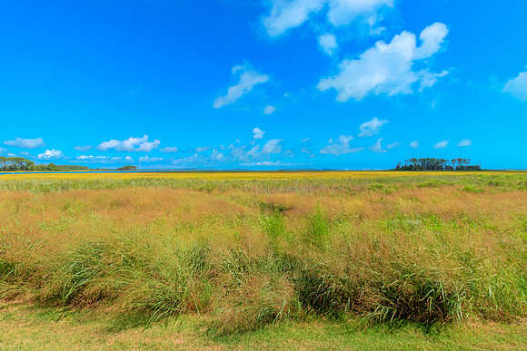 BIGMARSH-PRINT-019