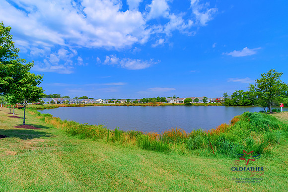 PEMBROKE-PRINT-006