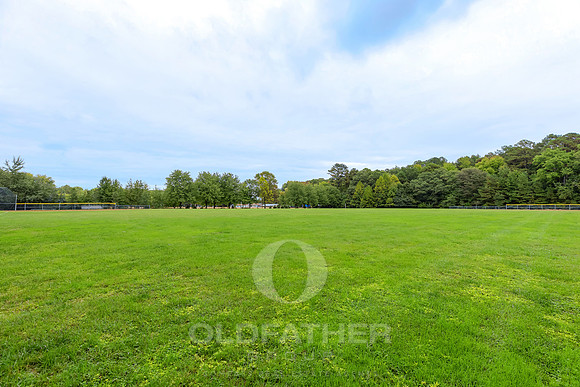 GRASONVILLE-PARK-PRINT-013