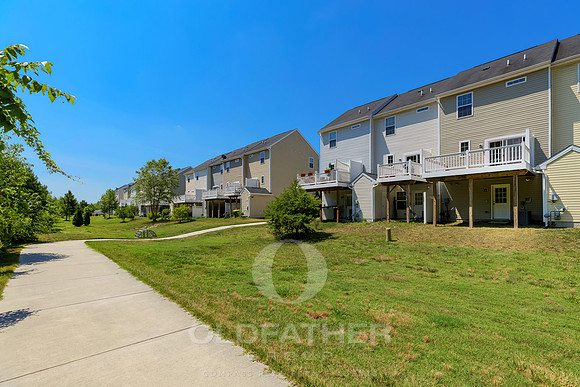 BRUNSWICK-20936-PRINT-005