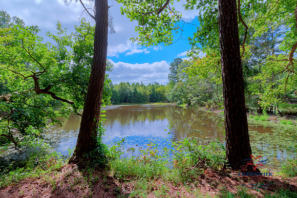 LEWES-GEORGETOWN-PRINT-023